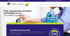 True Flame Gas Services